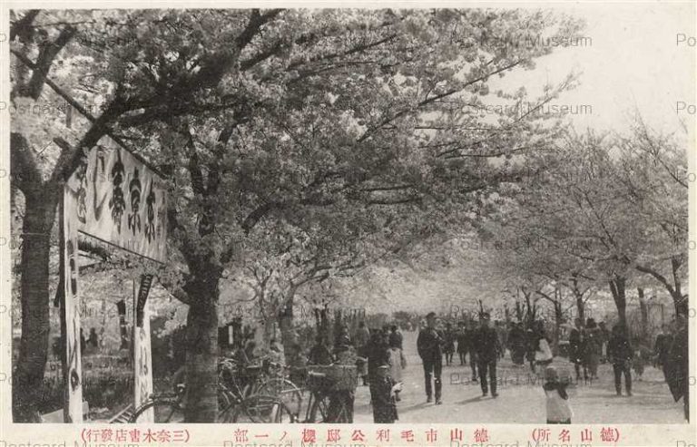 cm760-Tokuyama 徳山市毛利公邸桜ノ一部 徳山名所