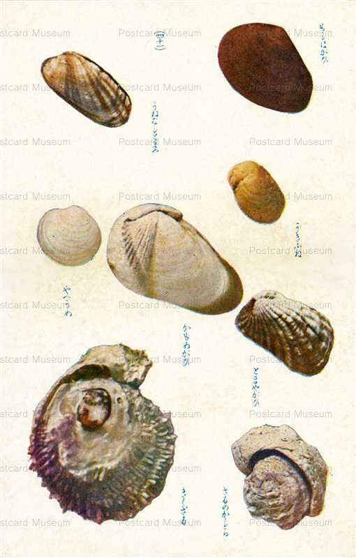 cgs341-うきふね　さるのかしら　四十一