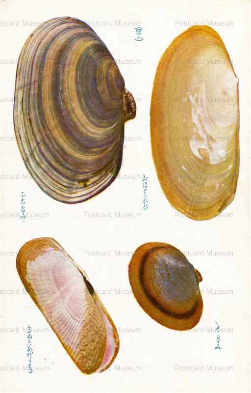 cgs348-おほとりがひ　四十八