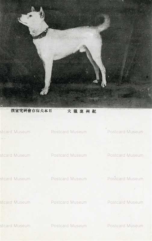 cga130-紀州虎猟犬