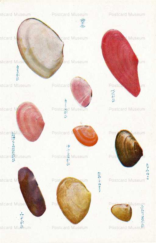 cgs347-さきがひ　なみのこ　四十七