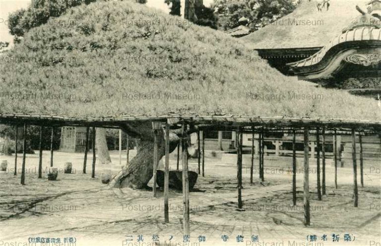 ef129-Munou Temple Koori Fukushima 無能寺 御蔭ノ松 其ニ 桑折名勝