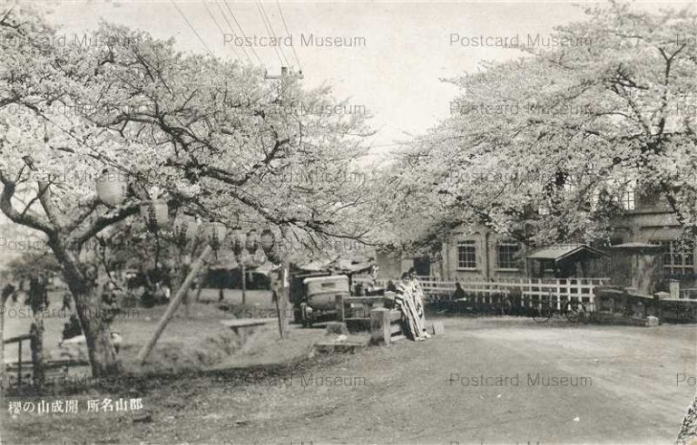 ef474-Kaiseizan Koriyama 開成山ノ桜 郡山