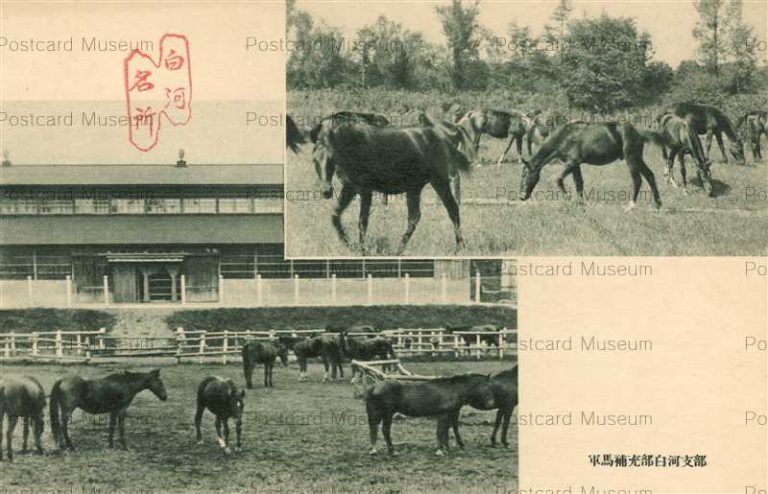 ef525-Shirakawa 軍馬補充部 白河支部 福島