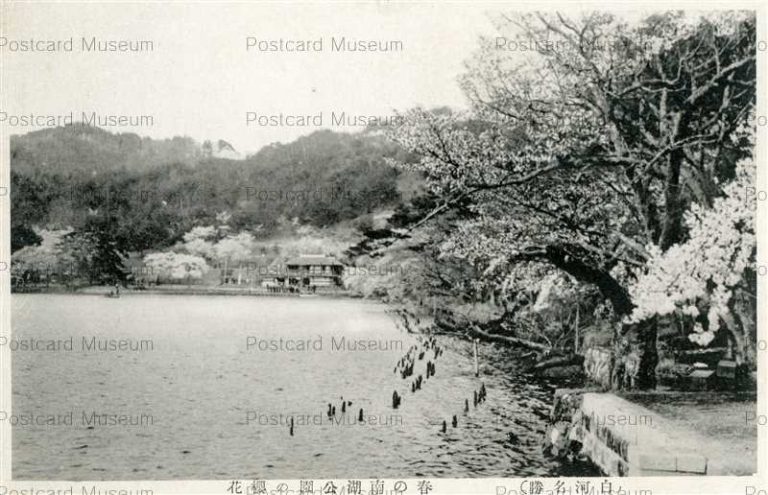 ef540-Nanko Park Shirakawa 春の南湖公園の櫻花 白河名勝