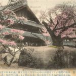 ei110-Ishiwarisakura-Morioka-