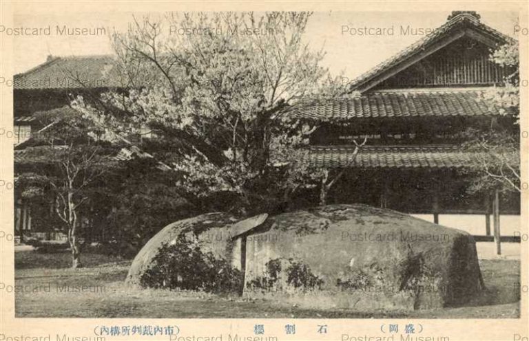 ei114-Ishiwarizakura Morioka 盛岡市裁判所の構内 石割桜