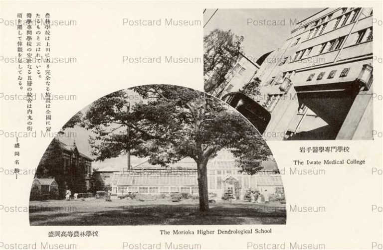 ei129-Iwate Medical College Morioka Dendrological 盛岡高等農林学校 岩手医科専門学校 盛岡