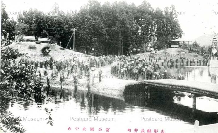 ey1264-Ayame Park Yamagata 宮公園あやめ 山形縣長井町