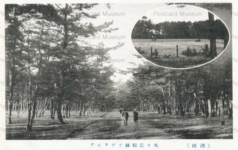 ey572-Hikarigaoka Pine Grove ground Sakata 光ヶ丘松林とグランド 酒田