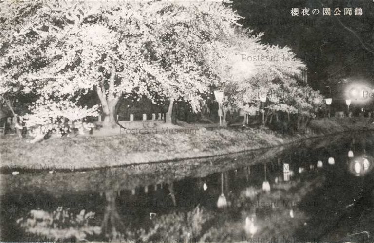 ey749-Tsuruoka park Yamagata 鶴岡公園の夜桜