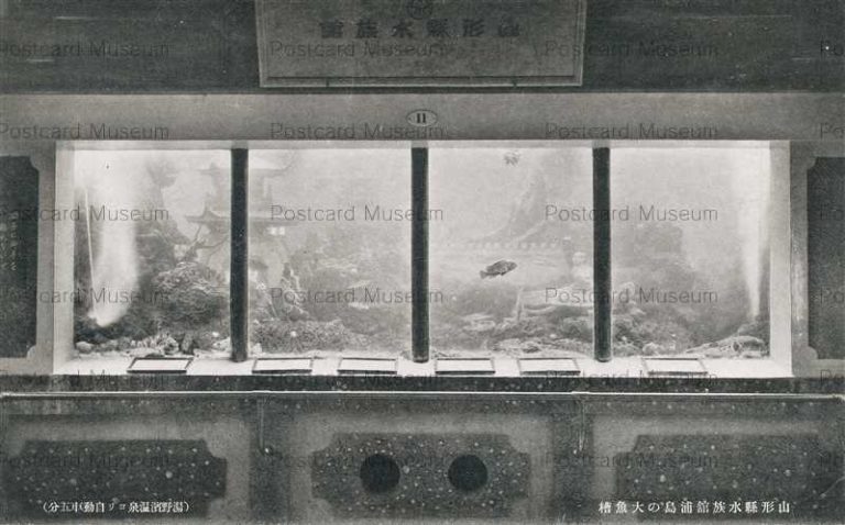 ey884-Yamagata Aquarium 山形県水族館浦島の大魚櫓 湯野濱温泉ヨリ自動車五分