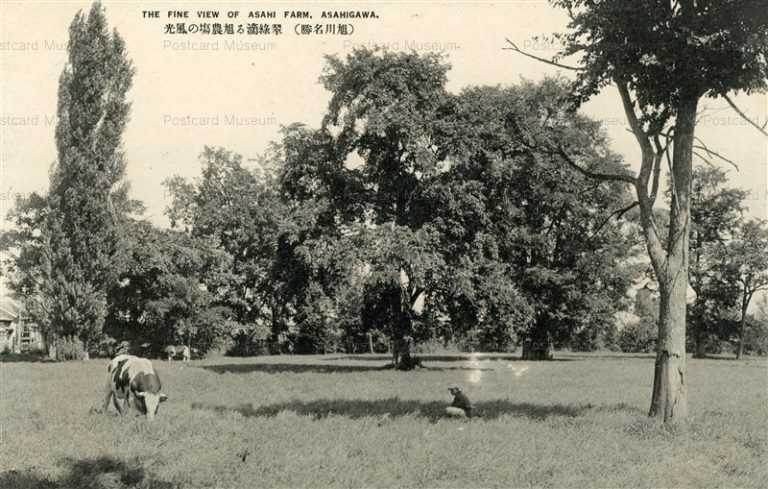 ha830-Asahi Farm Asahigawa 翠緑滴る旭農塲の風光 旭川名勝