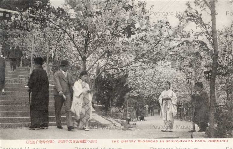 hi1288-Cherry Blossoms Senkojiyama Park Onomichi Hiroshima