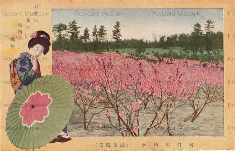 hn988-Kariwa 刈羽の桃林 越後鉄道