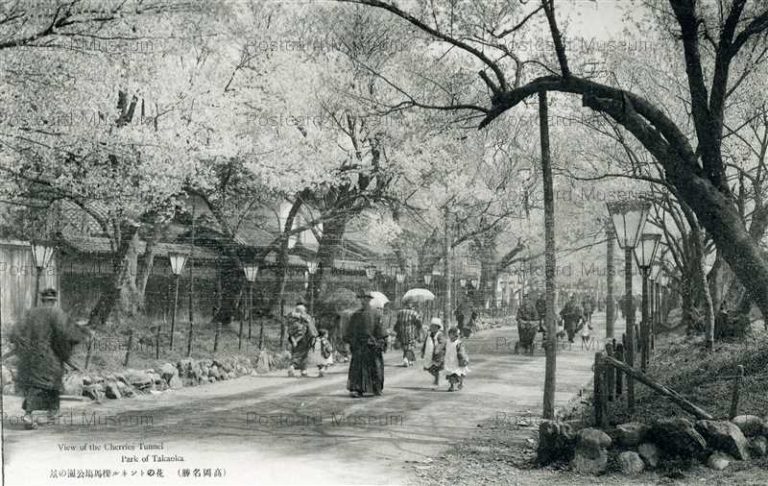 ht660-Cherries Tunnel Takaoka Park 花のトンネル櫻馬場公園の景 高岡名勝