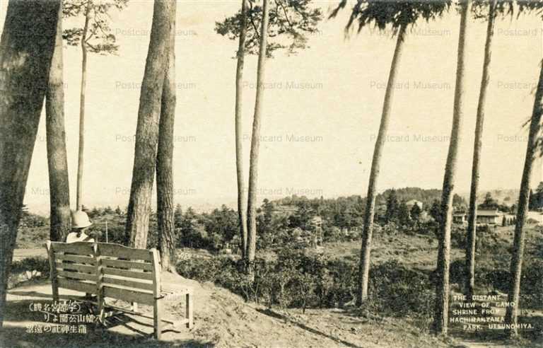 lt240-Gamo Shrine from Hachimanyama Park Utsunomiya 八幡山公園より蒲生神社の遠望 宇都宮名勝