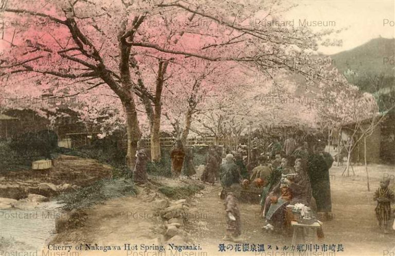 na265-Cherry of Nakagawa Hot Spring nagasaki 長崎中川郷カルルス温泉桜花の景