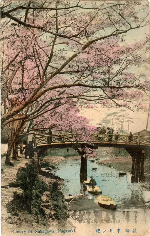 na267-Cherry of Nakagawa,Nagasaki 長崎中川ノ桜