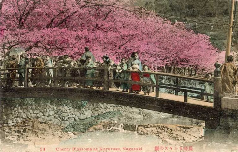 na275-Cherry Blossoms at Karurusu,Nagasaki 22 長崎カルルスの桜