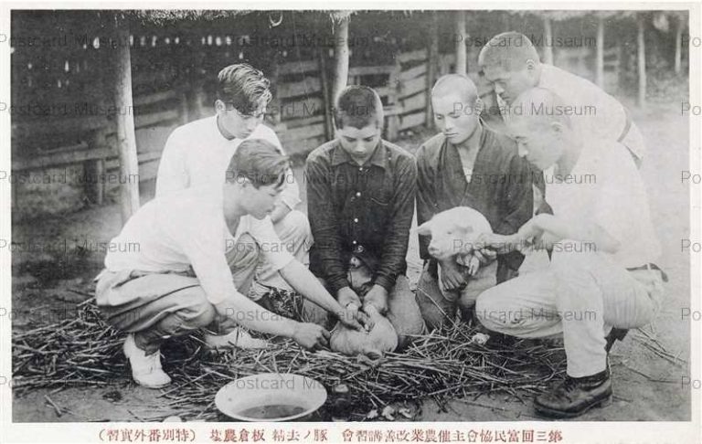 nb780-Anjo 第三回富民協会主催農業改善講習会 特別番外実習 豚の去精三河安城 板倉農場