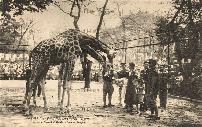 tab590-Ueno Zoological Garden 東洋一を誇る上野公園内に有る