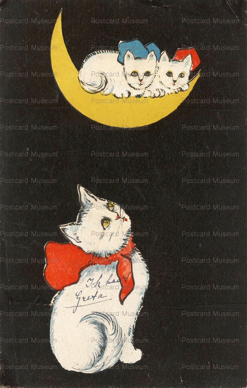 acc013-White Cat Looks at Kitten on the Moon