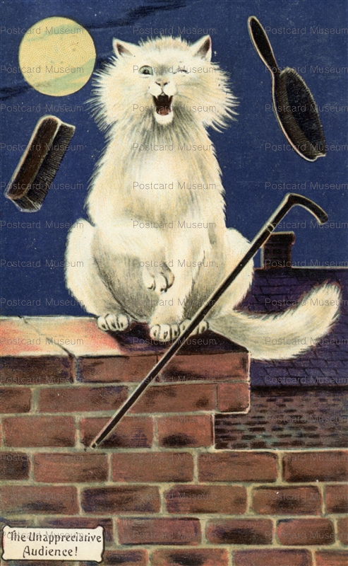 acc019-White Cat Stick & Brush at Full Moon Night