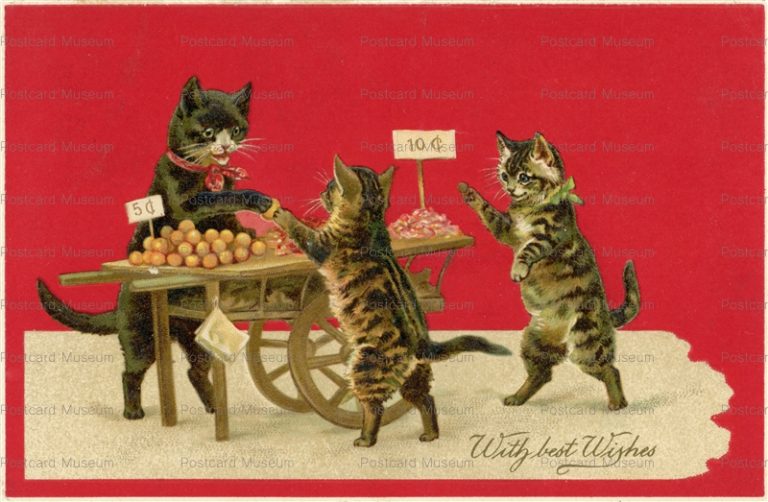 acc035-Helena Maguire Kitty Cat Fantasy Street Vendor & Customers c1910