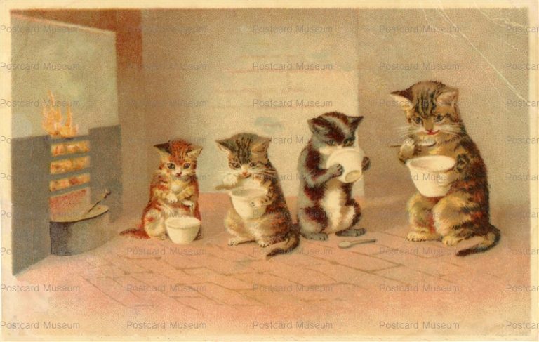 acc037-Wally Fialkowska Soup Cats