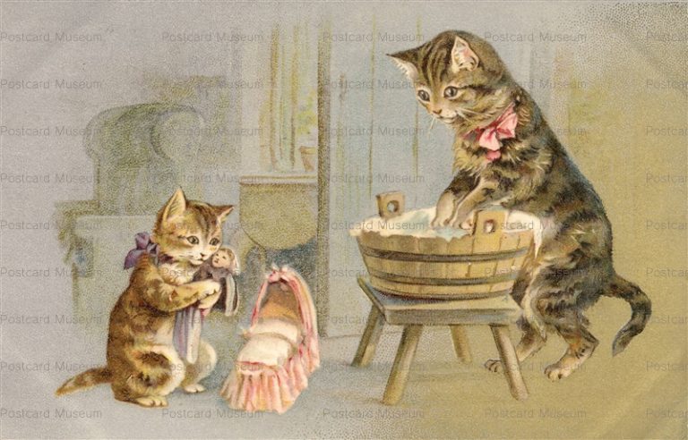 acc040-Helena Maguire Cat Wildt&Kray Rare