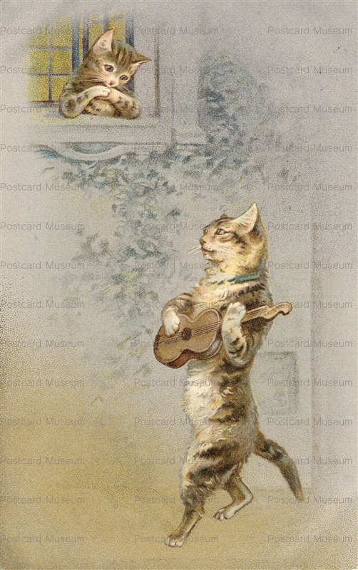 acc041-Helena Maguire Cat Plays Guitar
