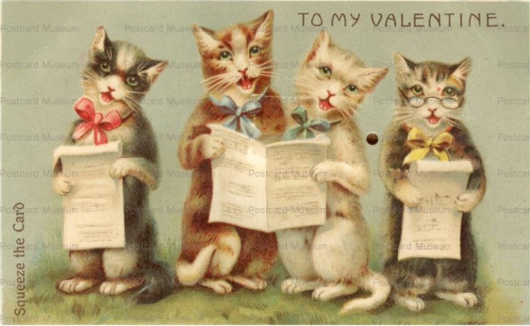 acc043-Quartet of a Singing Cat Calls Nature of Voice Valentine