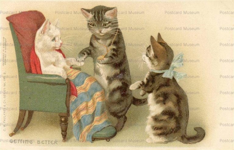 acc046-Helena Maguire Getting Better Cat