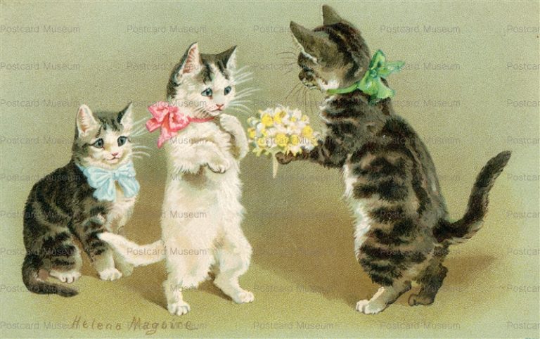 acc048-Helena Maguire Cats Lover Flower Present