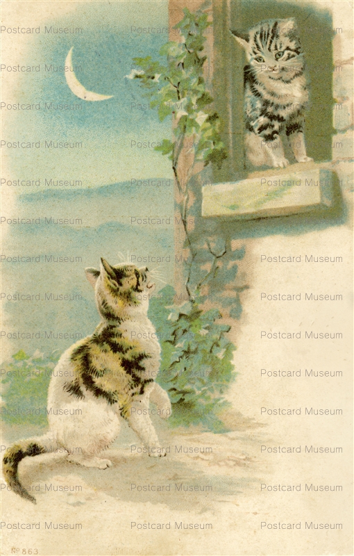 acc053-Helena Maguire Moon Lover Cats 1905