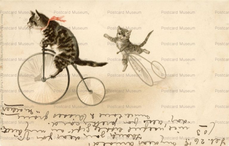 acc059-Helena Maguire Cats Ride Penny Farthing