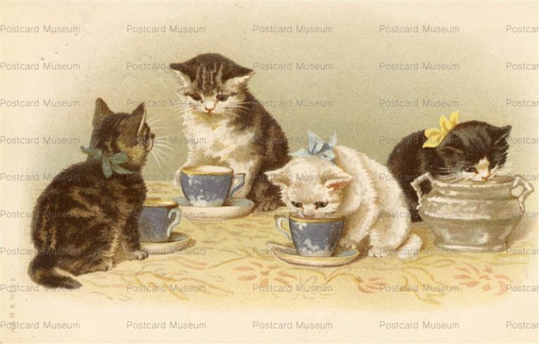 acc065-Helena Maguire Eating Cats