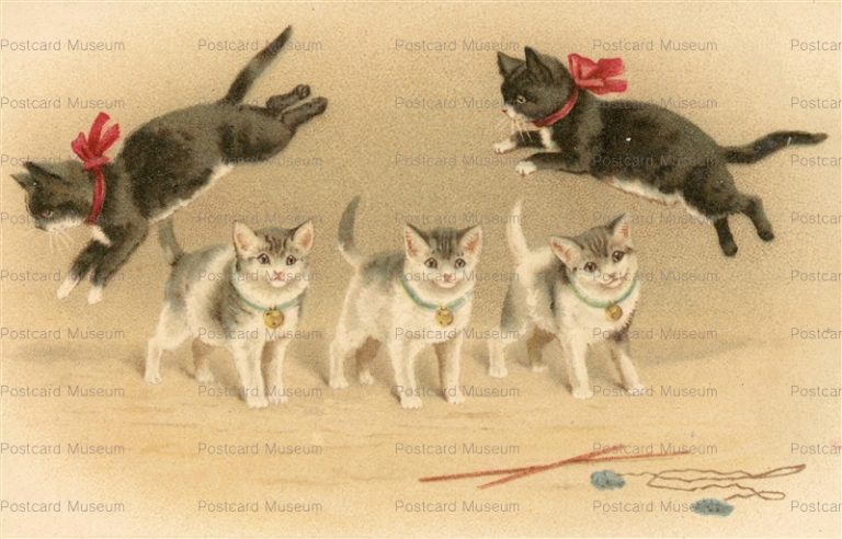 acc073-Jumping Play Cats