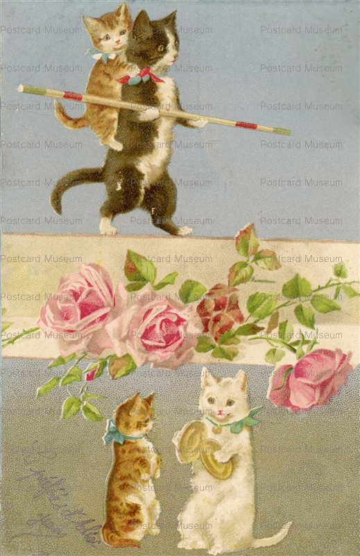 acc076-Helena Maguire Cat Accrobate Circus