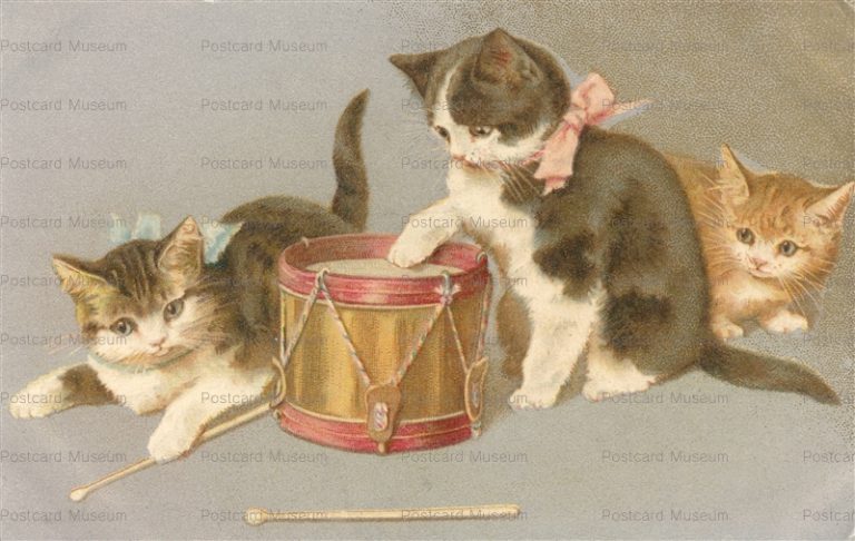 acc078-Helena Maguire Cats Play Dram