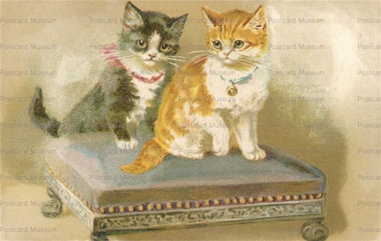 acc082-Kittens on Footstool