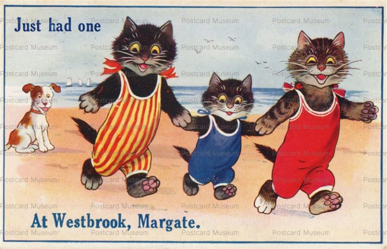 acc163-Cats in Swimsuit to Beach
