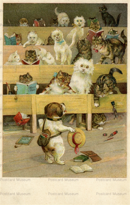 acc185-Louis Wain dog who came to a cat's classroom