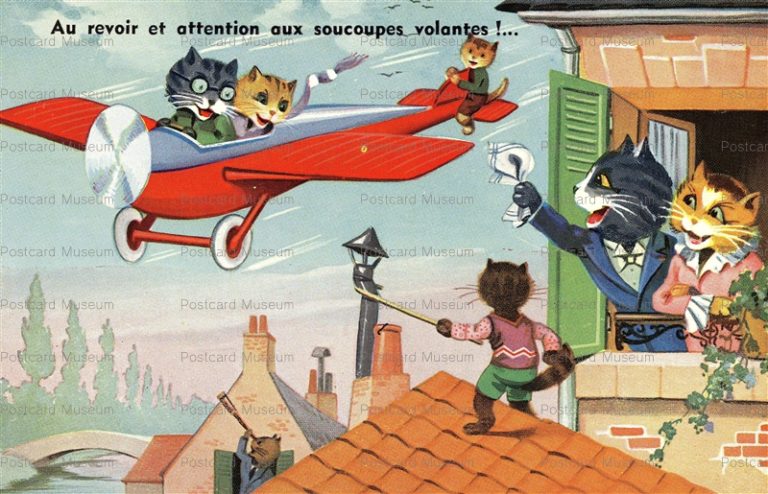 acc197-Dressed Cat Fantasy Airplane Holiday