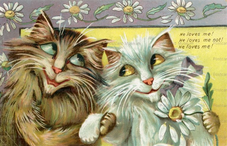 acc240-Maurice Boulanger Valentine Cats Play Daisy Love Game