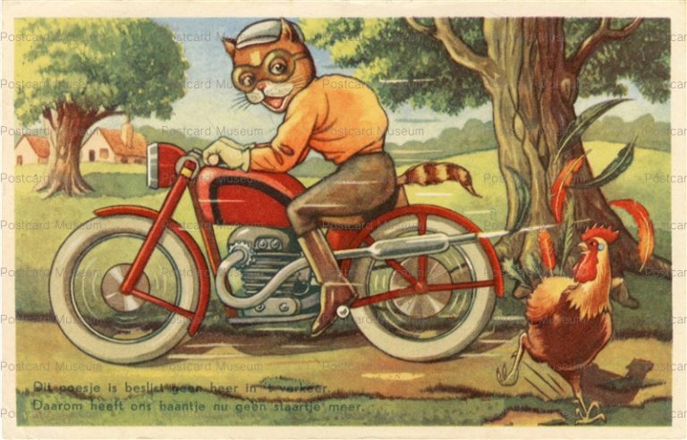 acc325-Motercycle Cat Fantasy