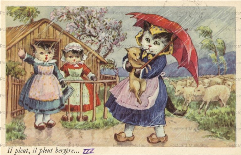 acc360-dressed Cat Sheep rain