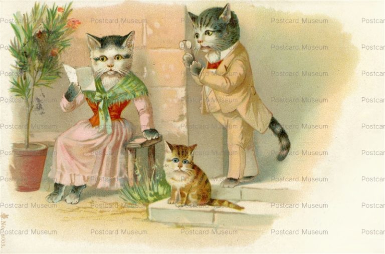 acc470-Dressed Cat Received letter