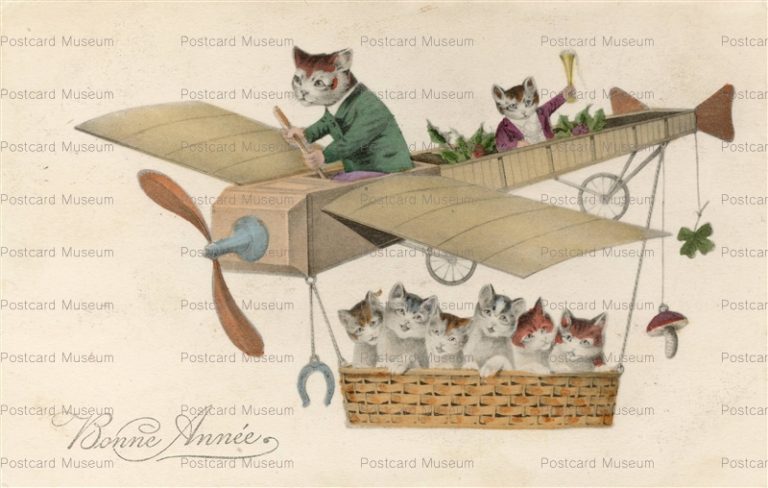 acc510-Airplane Pilot Cat Vienne Type